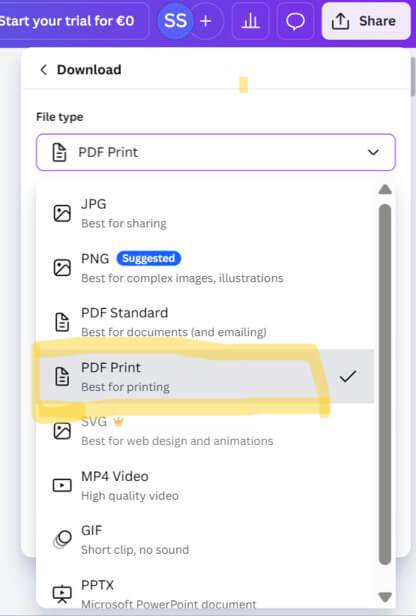 Select PDF print for a newspaper in Canva
